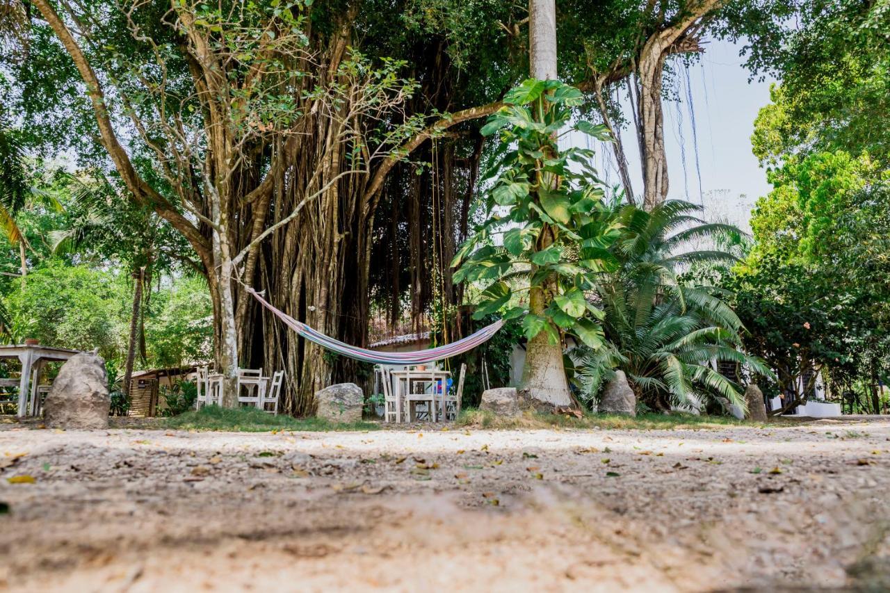 Hotel Restaurante Selva Negra Turbaco ภายนอก รูปภาพ